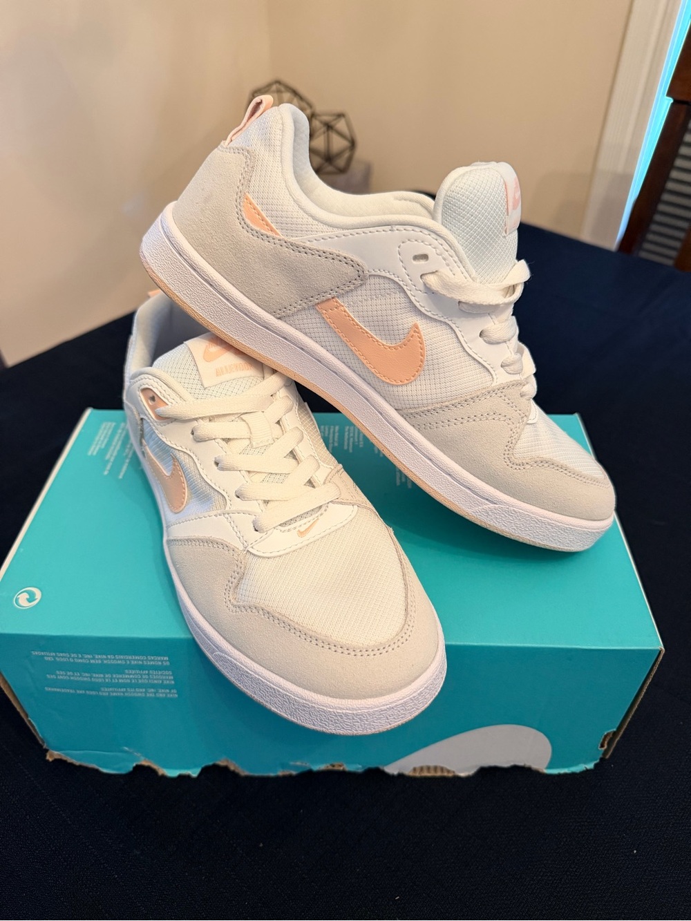 Brand New Nike SB Alleyoop Sneakers in White with Peach 7.5 W or 6.5 Y